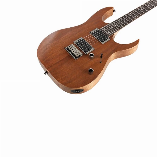 قیمت خرید فروش گیتار الکتریک Ibanez RG421 MOL 